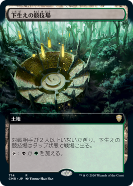 [359]【JP】【FOIL】■拡張アート■下生えの競技場【CMR】[R][土地]