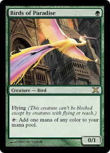 [252]【EN】【FOIL】極楽鳥/Birds of Paradise【10ED】[R][緑]