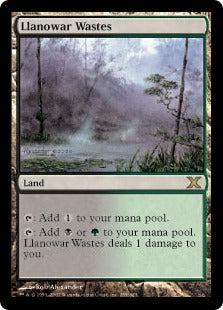[355]【JP】ラノワールの荒原/Llanowar Wastes【10ED】[R][土地]