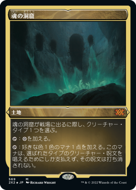 [569]【JP】【エッチングFOIL】魂の洞窟/Cavern of Souls【2X2】[M][土地]
