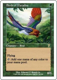 [231]【EN】【FOIL】極楽鳥/Birds of Paradise【7ED】[R][緑]