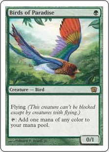 [238]【EN】極楽鳥/Birds of Paradise【8ED】[R][緑]