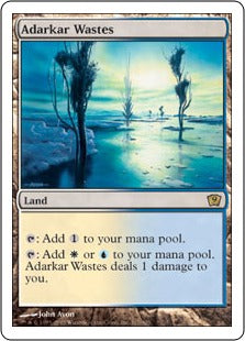 [317]【EN】アダーカー荒原/Adarkar Wastes【9ED】[R][土地]