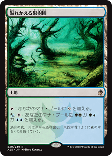 [239]【JP】【FOIL】溢れかえる果樹園/Flooded Grove【A25】[R][土地]