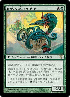 [095]【JP】芽吹く草ハイドラ/Sprouting Phytohydra【DIS】[R][緑]