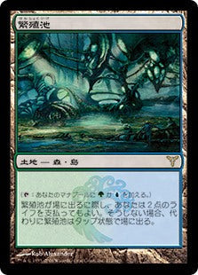 [172]【JP】【FOIL】繁殖池/Breeding Pool【DIS】[R][土地]
