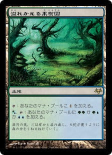 [177]【JP】溢れかえる果樹園/Flooded Grove【EVE】[R][土地]