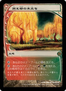 [172]【JP】燃え柳の木立ち/Grove of the Burnwillows【FUT】[R][土地]