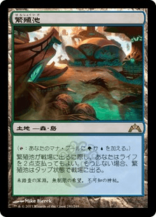 [240]【JP】【FOIL】繁殖池/Breeding Pool【GTC】[R][土地]