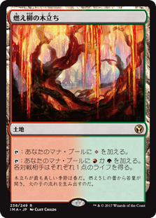 [238]【JP】【FOIL】燃え柳の木立ち/Grove of the Burnwillows【IMA】[R][土地]
