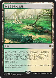 [248]【JP】【FOIL】吹きさらしの荒野/Windswept Heath【KTK】[R][土地]