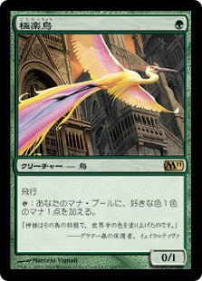 [165]【JP】【FOIL】極楽鳥/Birds of Paradise【M11】[R][緑]