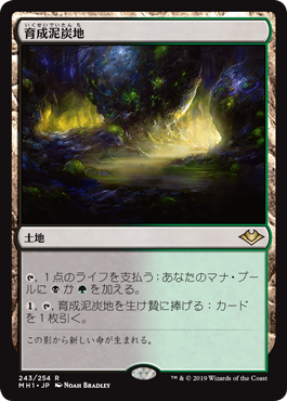 [243]【JP】【FOIL】育成泥炭地/Nurturing Peatland【MH1】[R][土地]