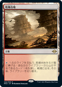 [244]【JP】【FOIL】乾燥台地/Arid Mesa【MH2】[R][土地]