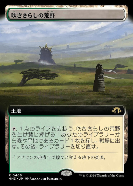 [466]【JP】■拡張アート■吹きさらしの荒野/Windswept Heath【MH3】[R][土地]