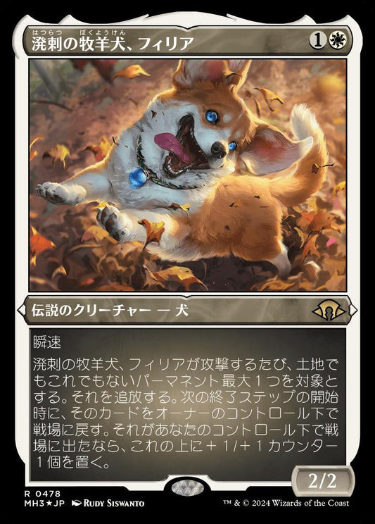 [478]【JP】【エッチングFOIL】溌剌の牧羊犬、フィリア/Phelia, Exuberant Shepherd【MH3】[R][白]