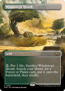 [360]【EN】■ボーダーレス■吹きさらしの荒野/Windswept Heath【MH3】[R][土地]