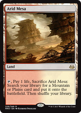 [229]【EN】【FOIL】乾燥台地/Arid Mesa【MM3】[R][土地]