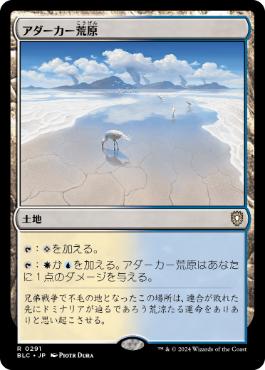 [291]【JP】アダーカー荒原/Adarkar Wastes【BLC】[R][土地]