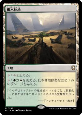 [295]【JP】低木林地/Brushland【BLC】[R][土地]
