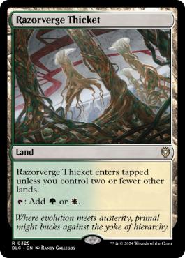 [325]【EN】剃刀境の茂み/Razorverge Thicket【BLC】[R][土地]