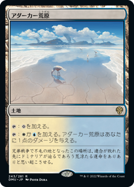[243]【JP】【FOIL】アダーカー荒原/Adarkar Wastes【DMU】[R][土地]