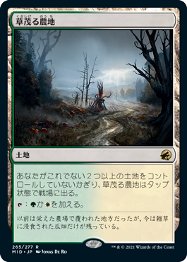 [265]【JP】草茂る農地/Overgrown Farmland【MID】[R][土地]
