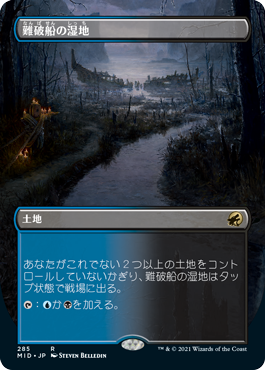 [285]【JP】■ボーダーレス■難破船の湿地/Shipwreck Marsh【MID】[R][土地]