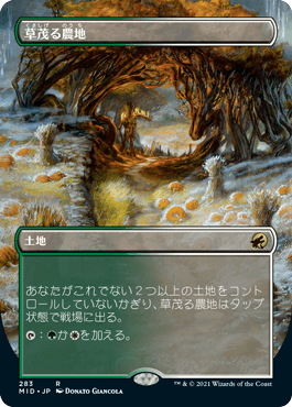 [283]【JP】【FOIL】■ボーダーレス■草茂る農地/Overgrown Farmland【MID】[R][土地]
