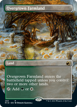 [283]【EN】■ボーダーレス■草茂る農地/Overgrown Farmland【MID】[R][土地]
