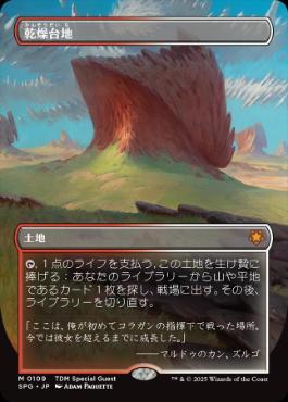 [109]【JP】【FOIL】■ボーダーレス■乾燥台地/Arid Mesa【SPG】[M][土地]