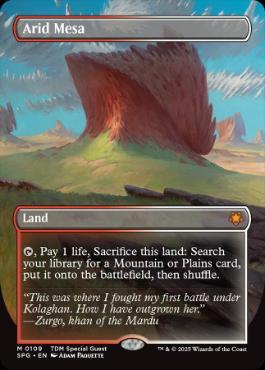 [109]【EN】【FOIL】■ボーダーレス■乾燥台地/Arid Mesa【SPG】[M][土地]