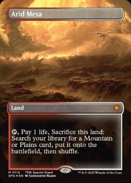 [114]【EN】【ドラゴンスケイルFOIL】■ボーダーレス■乾燥台地/Arid Mesa【SPG】[M][土地]