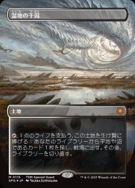 [115]【JP】【ドラゴンスケイルFOIL】■ボーダーレス■湿地の干潟/Marsh Flats【SPG】[M][土地]