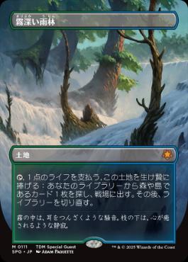 [111]【JP】【FOIL】■ボーダーレス■霧深い雨林/Misty Rainforest【SPG】[M][土地]