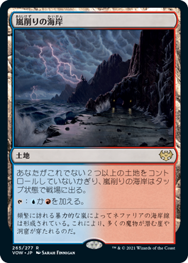 [265]【JP】【FOIL】嵐削りの海岸/Stormcarved Coast【VOW】[R][土地]