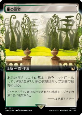 [1072]【JP】【サージFOIL】■拡張アート■梢の眺望/Canopy Vista【WHO】[R][土地]