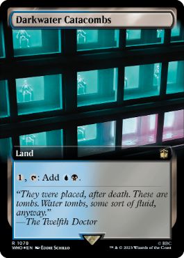 [1078]【EN】【サージFOIL】■拡張アート■ダークウォーターの地下墓地/Darkwater Catacombs【WHO】[R][土地]