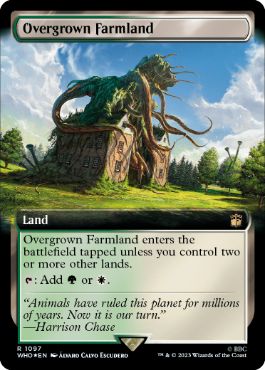 [1097]【EN】【サージFOIL】■拡張アート■草茂る農地/Overgrown Farmland【WHO】[R][土地]