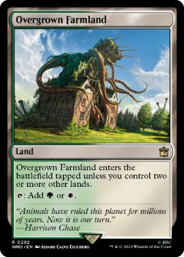 [292]【EN】【FOIL】草茂る農地/Overgrown Farmland【WHO】[R][土地]