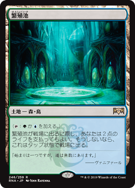 [246]【JP】【FOIL】繁殖池/Breeding Pool【RNA】[R][土地]