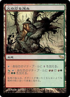 [271]【JP】火の灯る茂み/Fire-Lit Thicket【SHM】[R][土地]