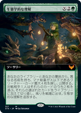 [317]【JP】■拡張アート■生態学的な理解/Ecological Appreciation【STX】[M][緑]