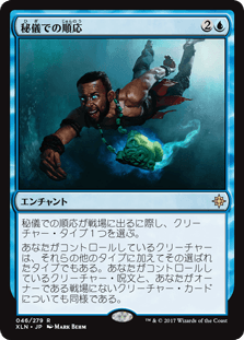 [046]【JP】【FOIL】秘儀での順応/Arcane Adaptation【XLN】[R][青]