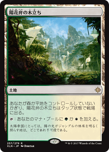 [257]【JP】【FOIL】陽花弁の木立ち/Sunpetal Grove【XLN】[R][土地]