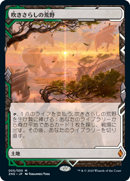 [005]【JP】【FOIL】吹きさらしの荒野/Windswept Heath【ZNE】[M][土地]